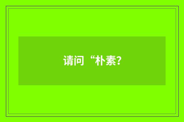 请问“朴素？