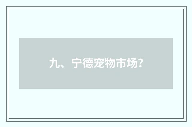 九、宁德宠物市场?