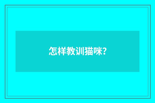 怎样教训猫咪?