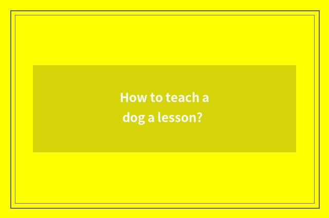 How to teach a dog a lesson?