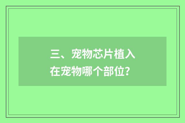 三、宠物芯片植入在宠物哪个部位？