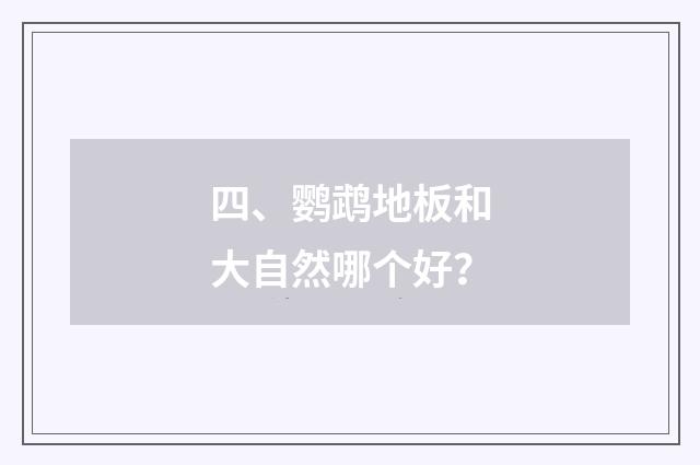 四、鹦鹉地板和大自然哪个好？