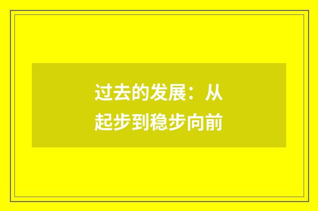 过去的发展:从起步到稳步向前