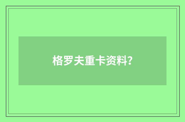 格罗夫重卡资料？