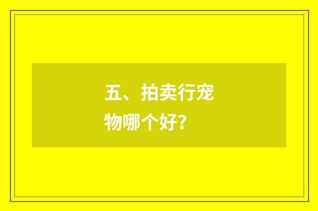 五、拍卖行宠物哪个好?