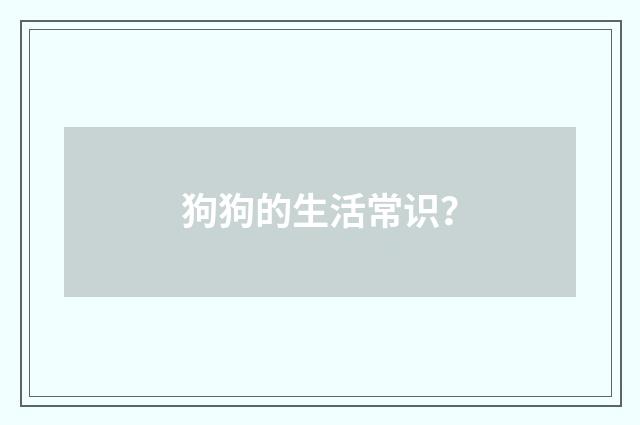 狗狗的生活常识？