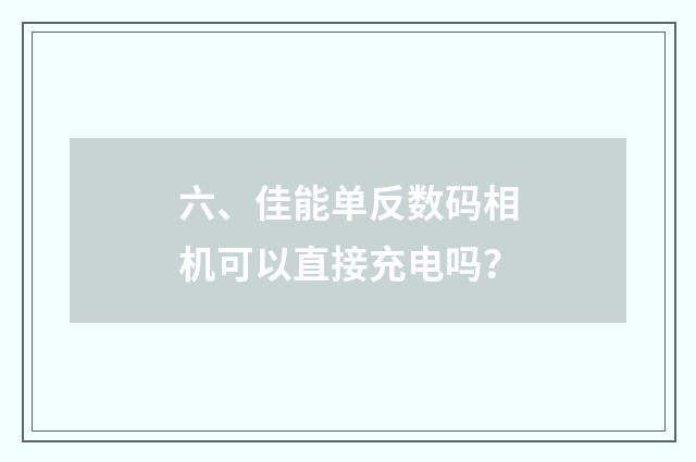 六、佳能单反数码相机可以直接充电吗?