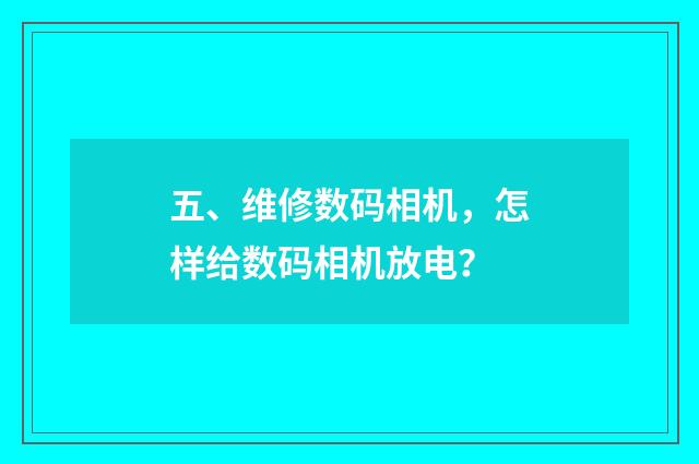 五、维修数码相机，怎样给数码相机放电？