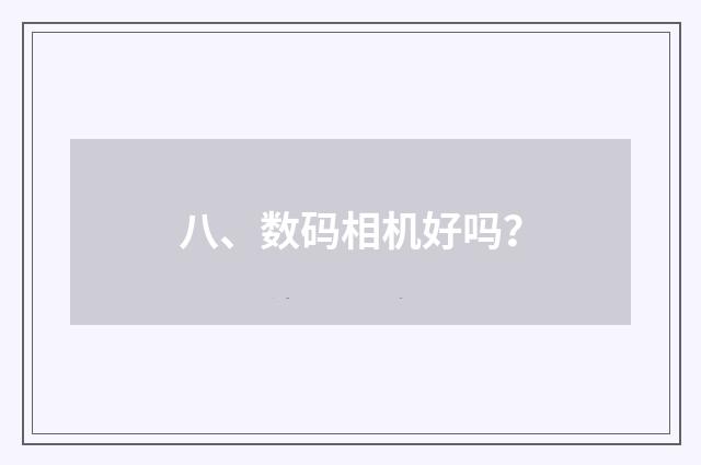 八、数码相机好吗？