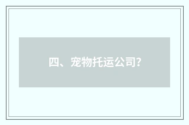 四、宠物托运公司？
