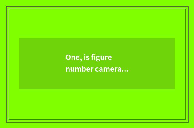 One, is figure number camera recommended?