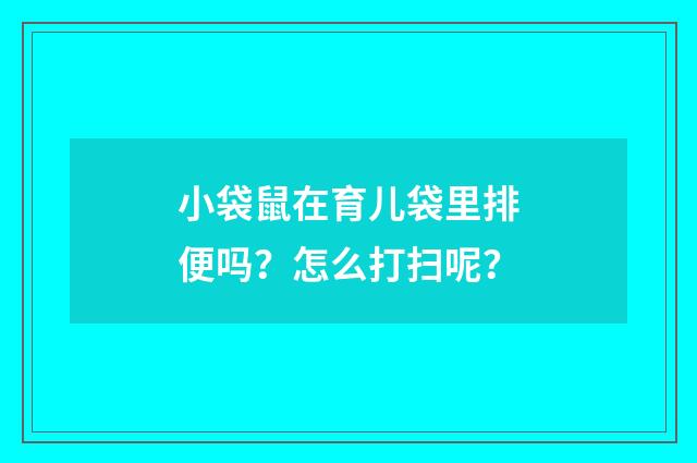 小袋鼠在育儿袋里排便吗？怎么打扫呢？