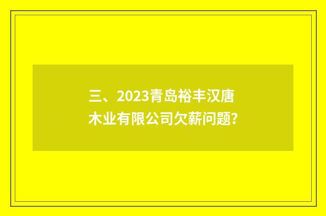 三、2023青岛裕丰汉唐木业有限公司欠薪问题？
