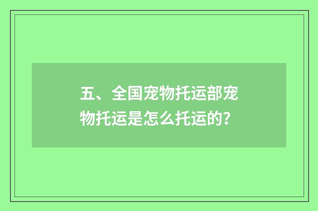 五、全国宠物托运部宠物托运是怎么托运的？