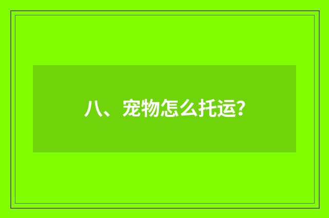 八、宠物怎么托运？