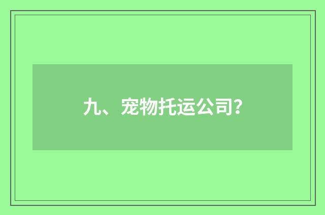 九、宠物托运公司？