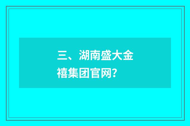 三、湖南盛大金禧集团官网?