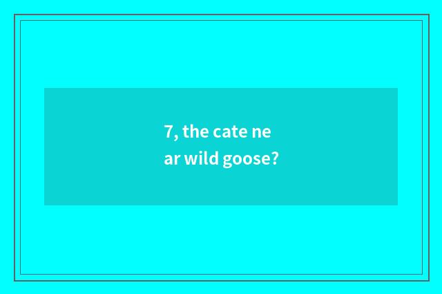 7, the cate near wild goose?