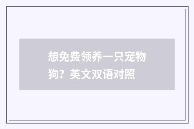 想免费领养一只宠物狗？英文双语对照