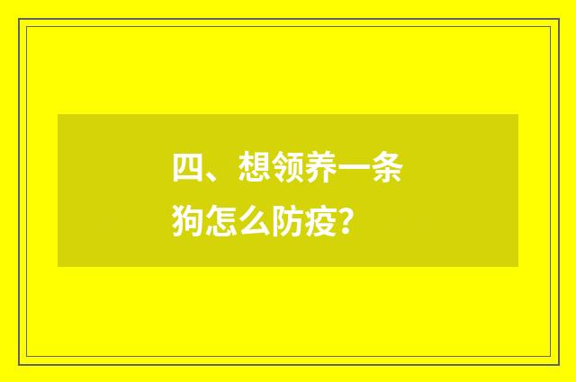 四、想领养一条狗怎么防疫？
