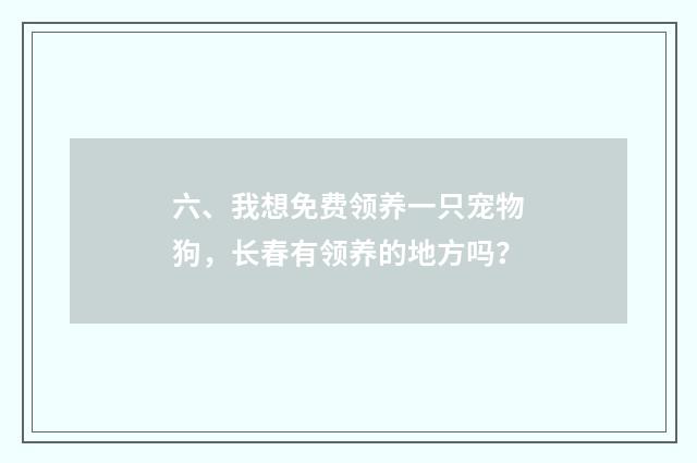 六、我想免费领养一只宠物狗，长春有领养的地方吗？