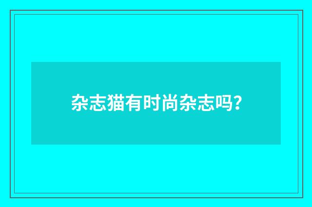 杂志猫有时尚杂志吗？