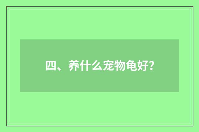 四、养什么宠物龟好？