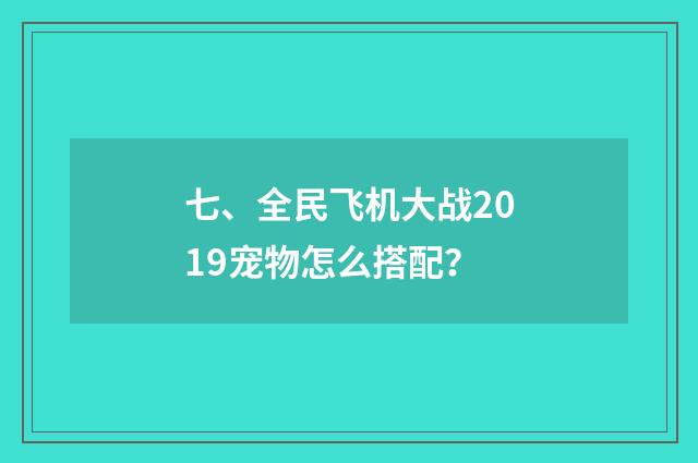 七、全民飞机大战2019宠物怎么搭配？