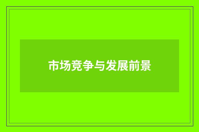 市场竞争与发展前景