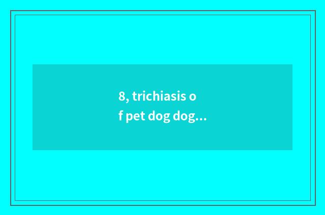 8, trichiasis of pet dog dog?