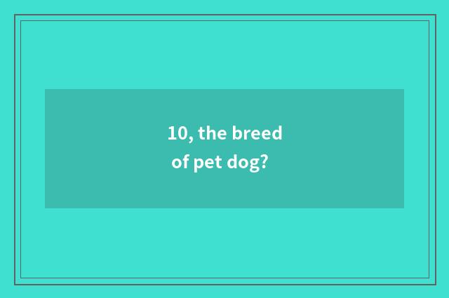 10, the breed of pet dog?
