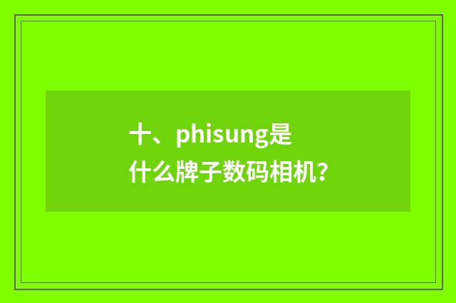 十、phisung是什么牌子数码相机？