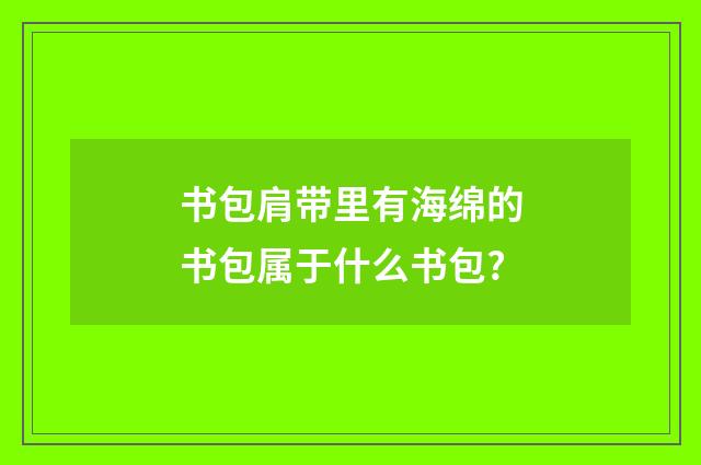 书包肩带里有海绵的书包属于什么书包?