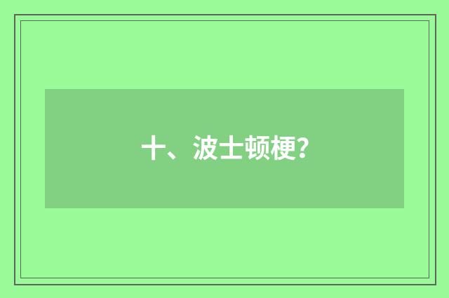 十、波士顿梗?