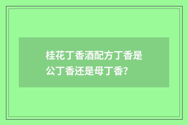 桂花丁香酒配方丁香是公丁香还是母丁香？