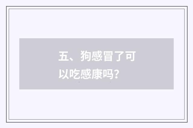五、狗感冒了可以吃感康吗?