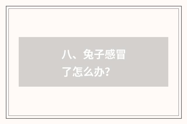 八、兔子感冒了怎么办？