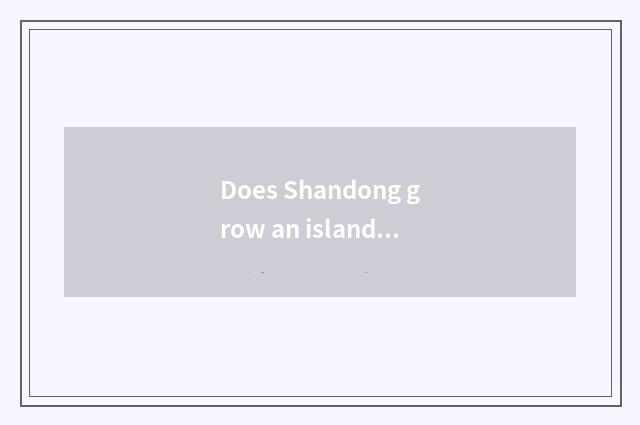 Does Shandong grow an island what to amused travel tourist attraction have?