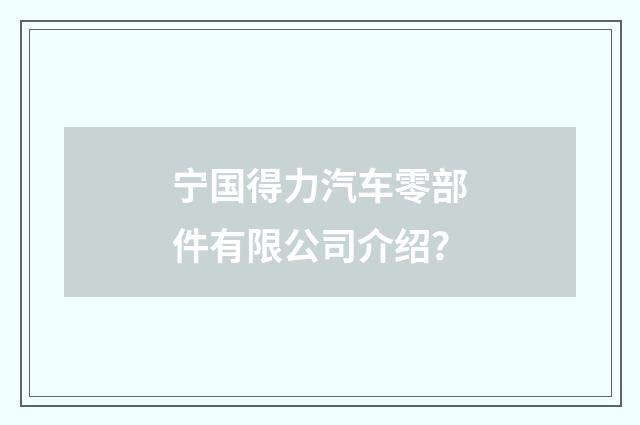 宁国得力汽车零部件有限公司介绍？