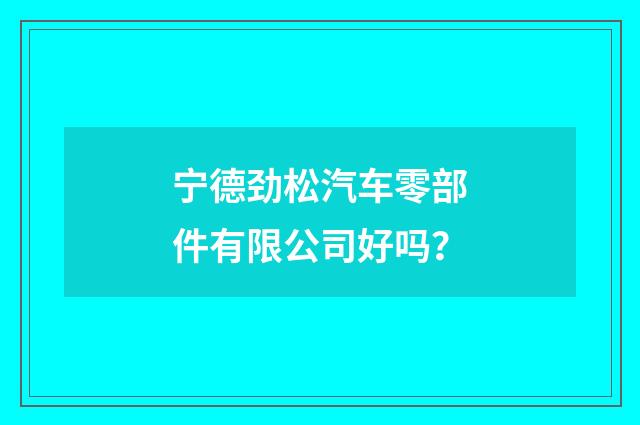 宁德劲松汽车零部件有限公司好吗?