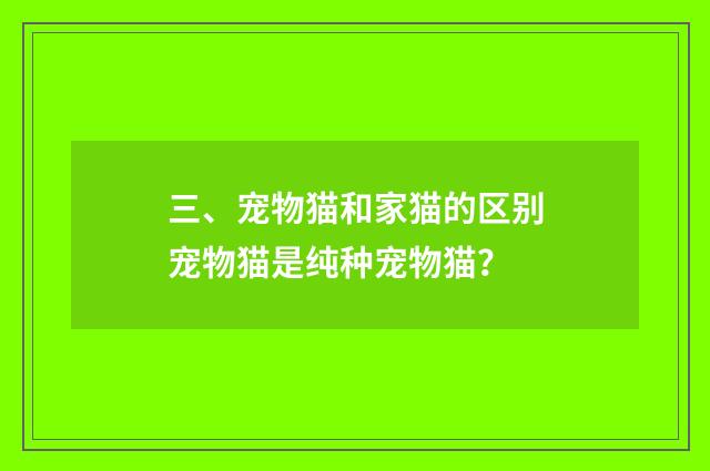 三、宠物猫和家猫的区别宠物猫是纯种宠物猫?