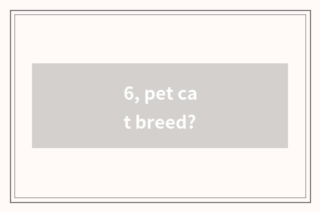 6, pet cat breed?