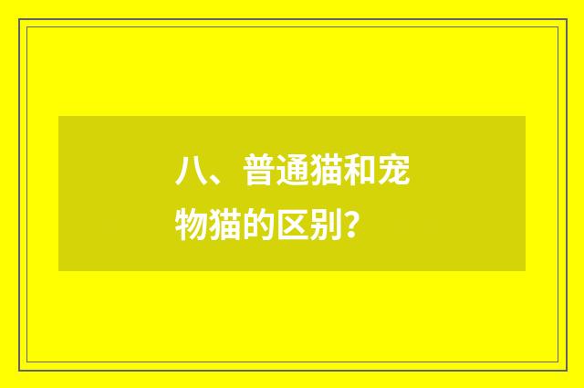 八、普通猫和宠物猫的区别?