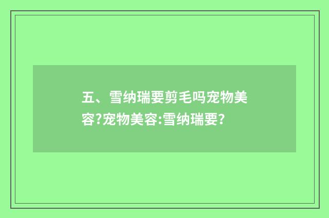 五、雪纳瑞要剪毛吗宠物美容?宠物美容:雪纳瑞要?