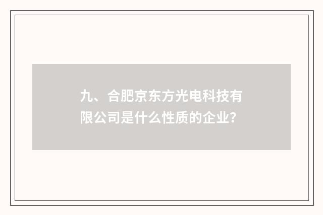 九、合肥京东方光电科技有限公司是什么性质的企业?