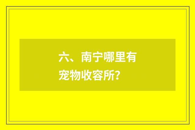 六、南宁哪里有宠物收容所?