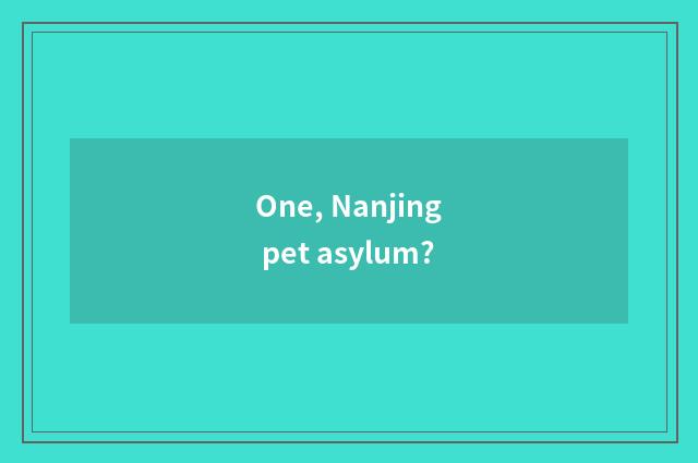 One, Nanjing pet asylum?