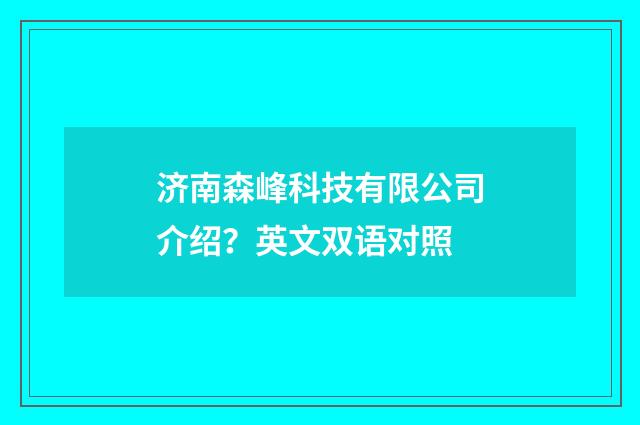 济南森峰科技有限公司介绍？英文双语对照