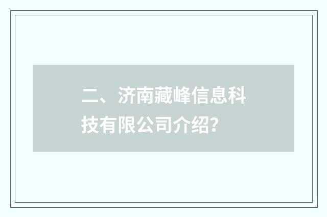 二、济南藏峰信息科技有限公司介绍？