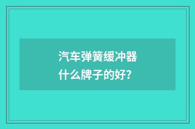 汽车弹簧缓冲器什么牌子的好？